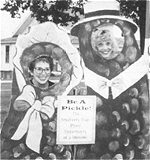 Pickled Picture